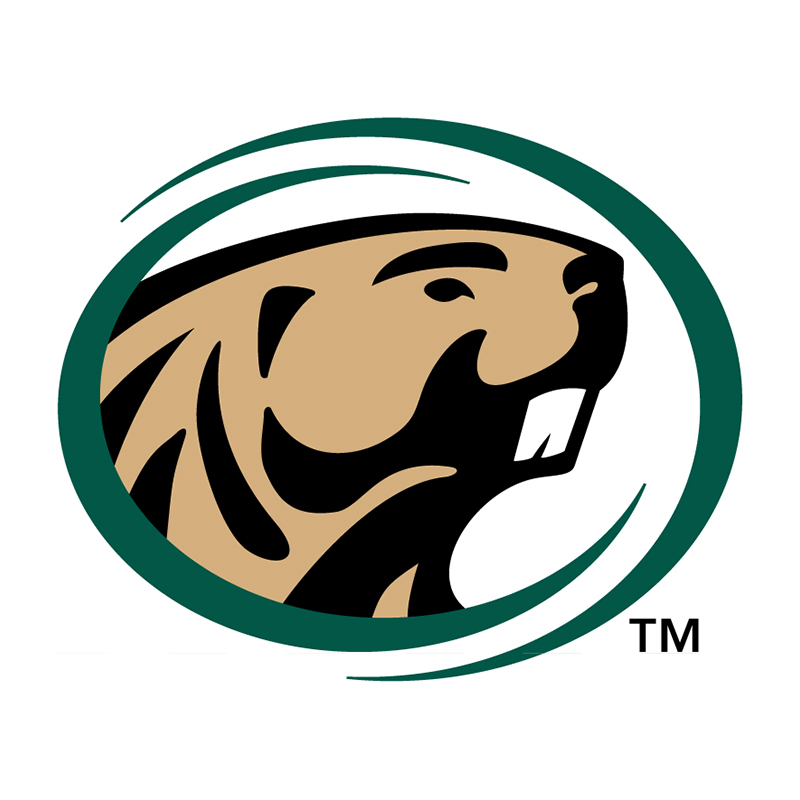 Bemidji State Beavers iron ons